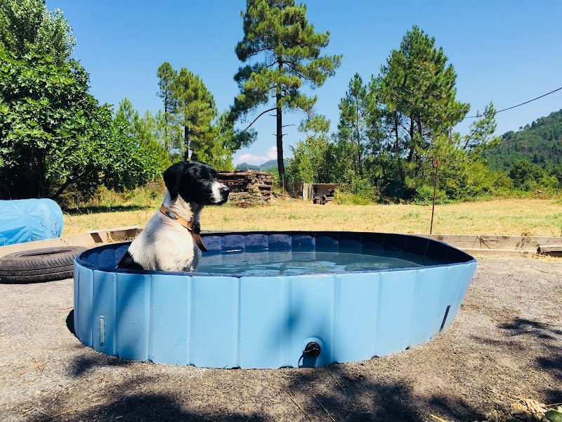 Village Canin des Cévennes - photo 2