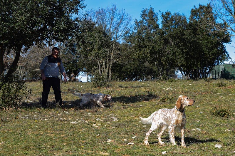 Centre canin et éducation canine Gard - Arnaud Demetre - Dog Earth - photo 2