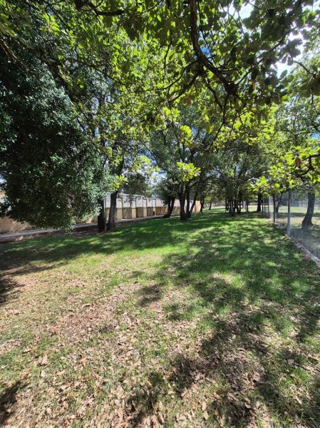 PENSION CANINE DU VALAT DE PERRET - photo 1