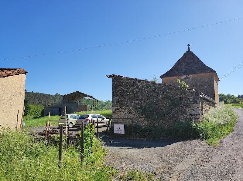 Les chiens de prairie - Education canine éthique et bienveillante