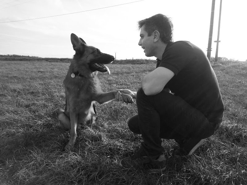 Synergy Dog - Éducateur Canin Comportementaliste Canin