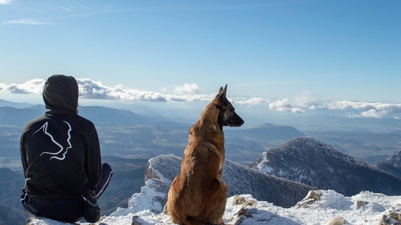 Educat'Eurre canin - Drôme - photo 1