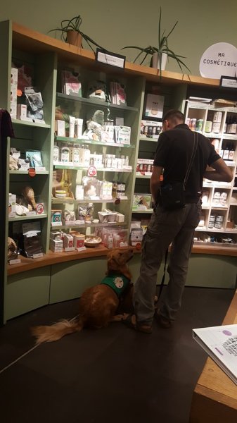 Educat'Eurre canin - Drôme - photo 3