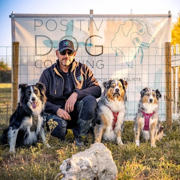 Positiv Dog Coaching - Éducateur comportementaliste canin, dresseur pour chien à proximité de Saint-Étienne