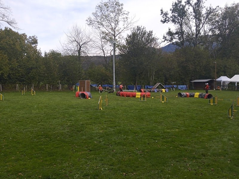 Club du Chien de Défense et d'Utilité de Chartreuse - photo 1