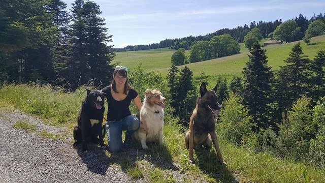 Delhomme et du Chien - Educateur canin à domicile Ardèche, Haute-Loire - photo 2