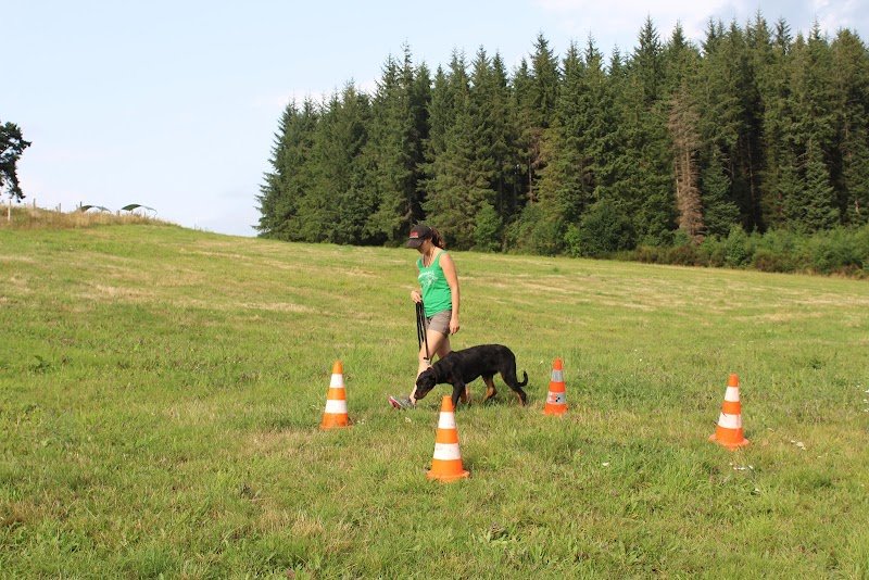 Delhomme et du Chien - Educateur canin à domicile Ardèche, Haute-Loire - photo 3