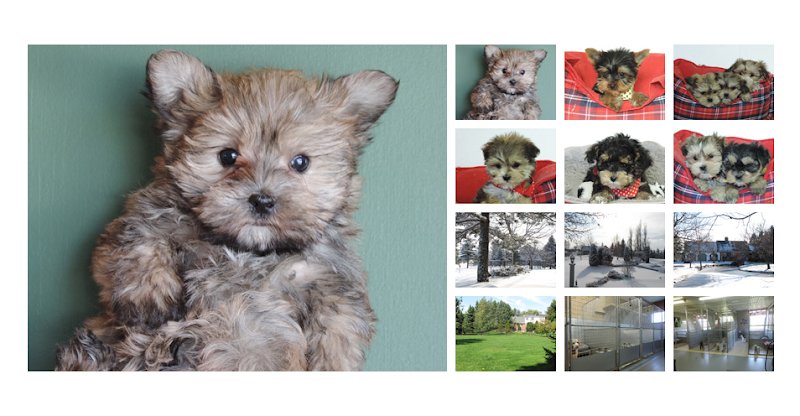 Centre Canin Laka - photo 1