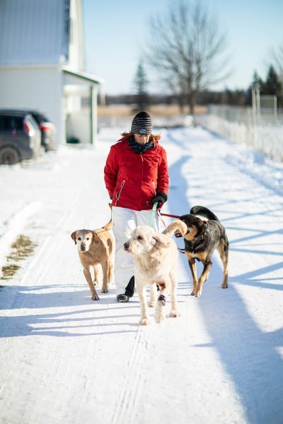 Centre Canin Laka - photo 2