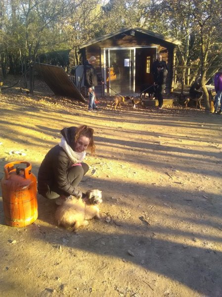 Centre Canin du Puech Coucou - photo 3