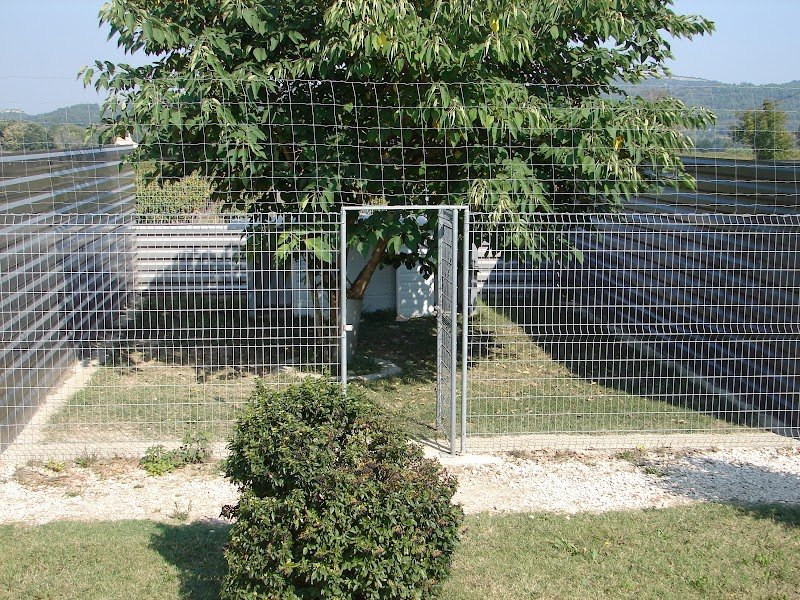 Centre Canin La Gaïdocienne - photo 2