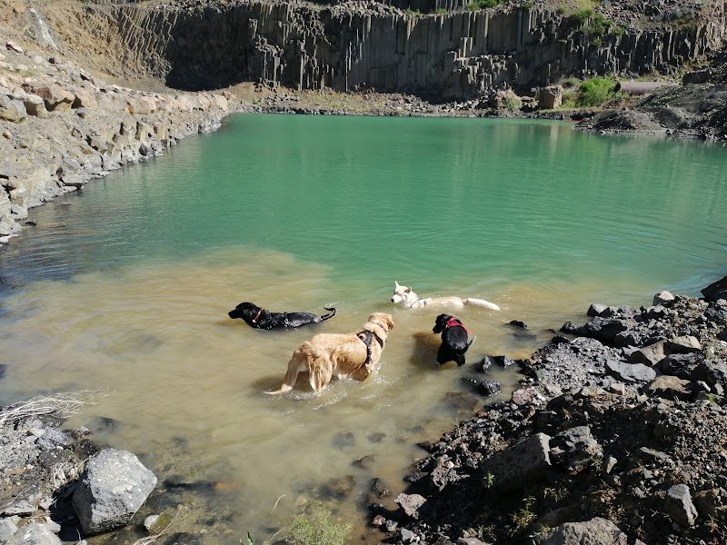 Club canin de Retournac - photo 2