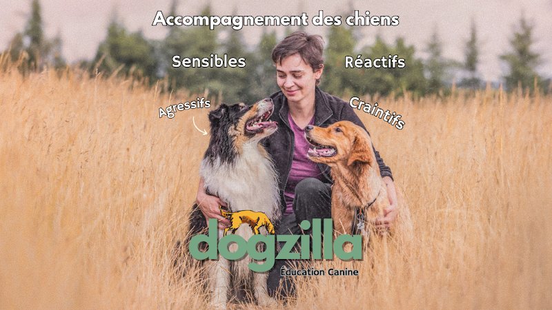 Dogzilla Éduc - Educateur Comportementaliste Canin Dijon