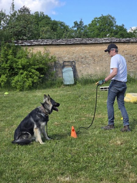 Os'Mose Canine - Dijon - Éducateur canin comportementaliste - photo 3