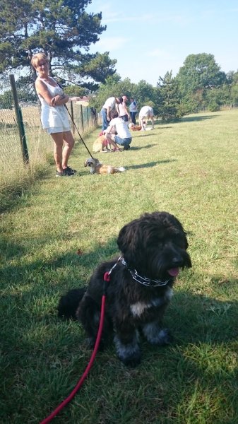 ECVN : Club d'Education Canine du Val de Norges