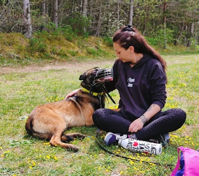 Sym dog Lozère - photo 3