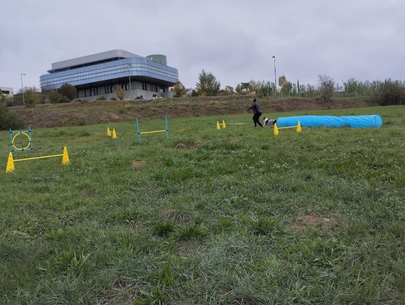 Doggy's Harmony - Alexandra MARIE - photo 2