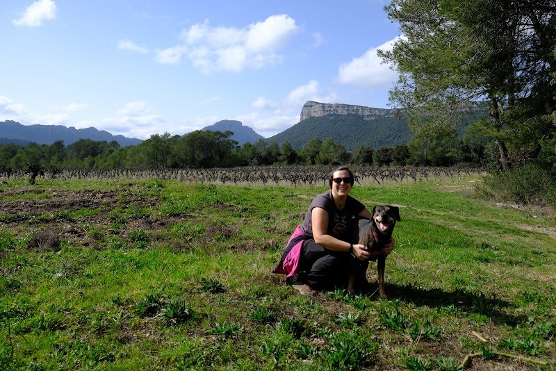 Em' & Les Animaux - Éducation & comportement canin - Garde d'animaux - photo 3