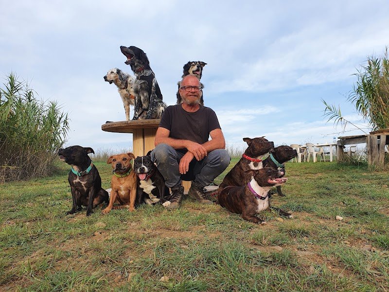 Doggy Family - Educateur comportementaliste canin - photo 2