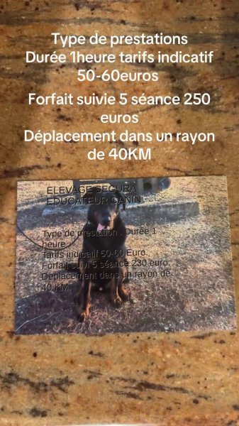 Élevage SEGURA éducateur canin