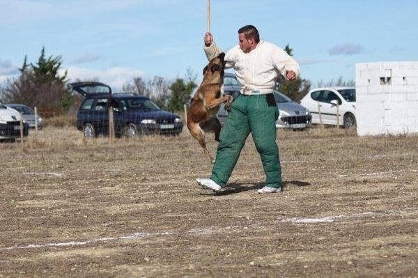Centre canin du Mas des Crozes