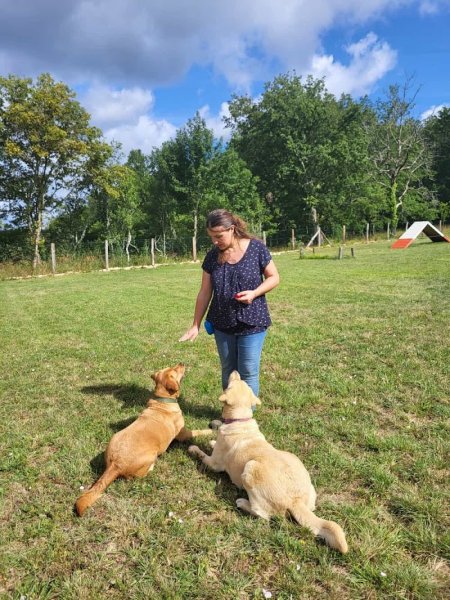 Personne & Bête - éducateur canin Lot - méthode positive - médiation animale - photo 2