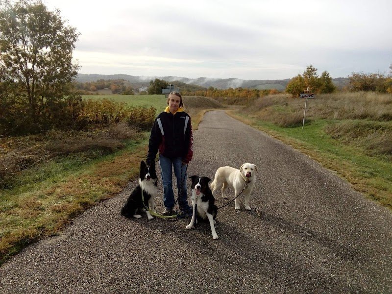 Casa Canis- Éducateur canin - photo 2