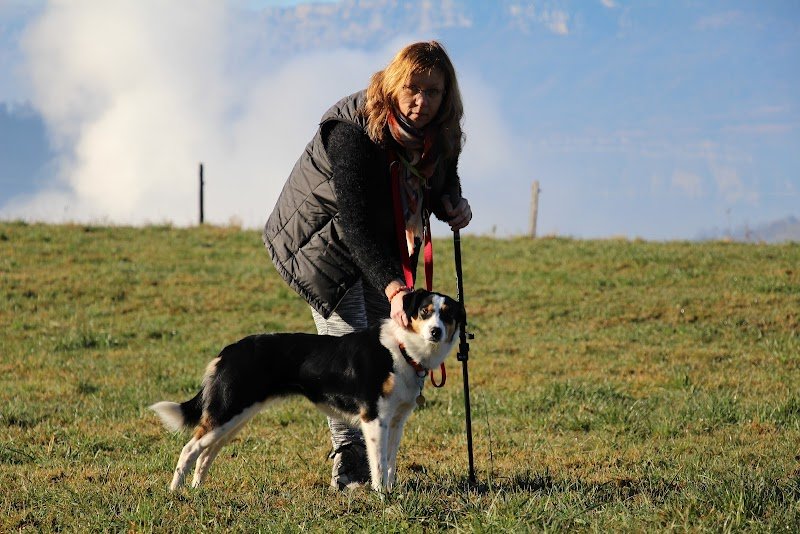 Éducation canine Pattounes et Nous - photo 2
