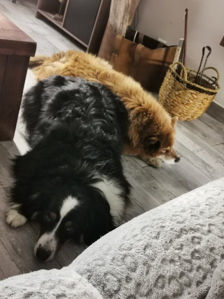 Natacha Roux Comportement - photo 3