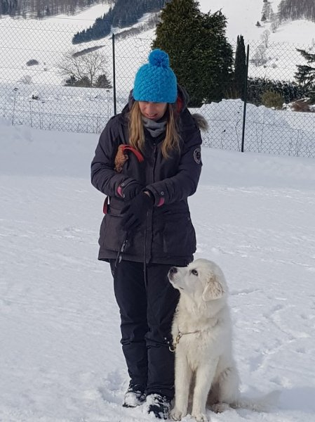 Entre Maîtres et Chiens - Marion Doncieux