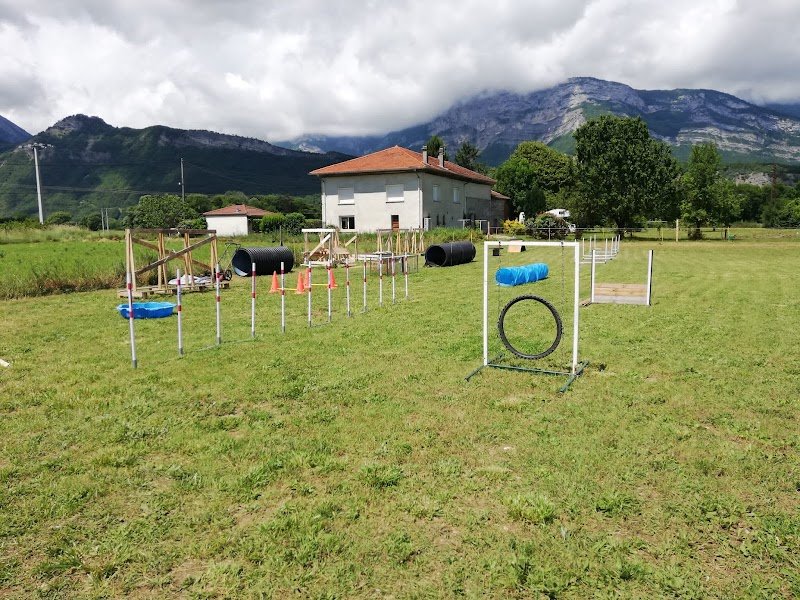 Partager sa Passion - Eduquer son Chien - photo 3