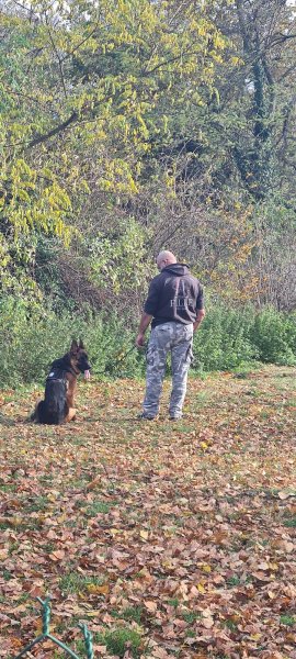 Club Canin Ondaine - photo 3