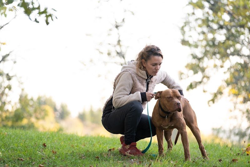 Symdog 15 éducation canine - photo 1