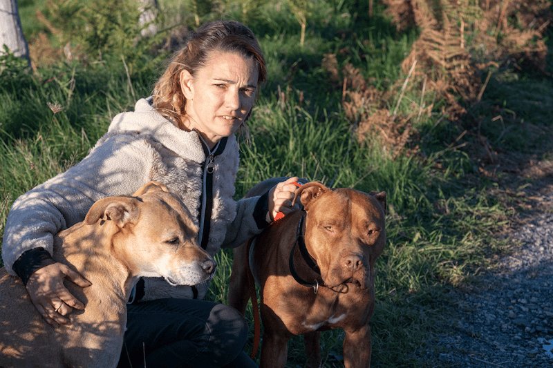 Symdog 15 éducation canine - photo 2