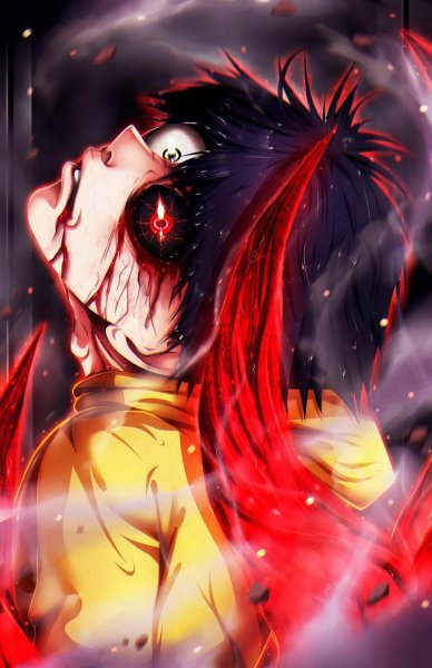 Sport Canin 15 - photo 3