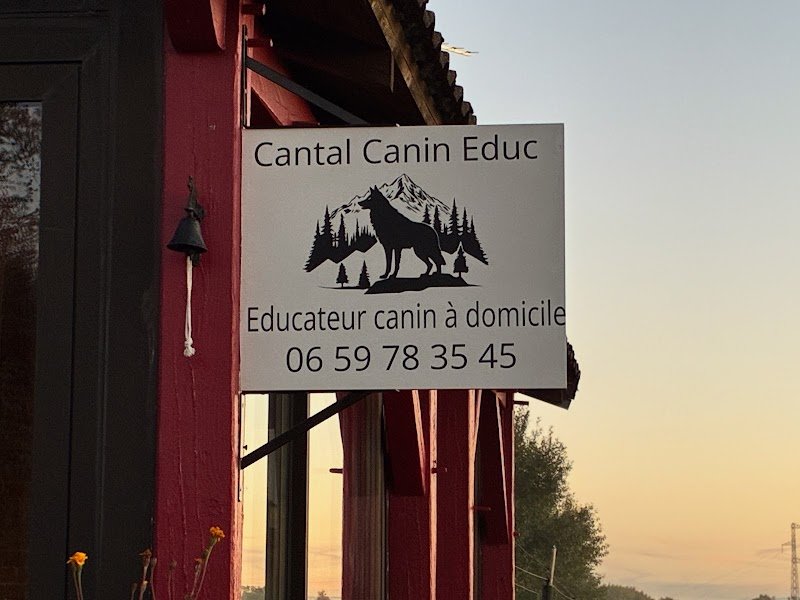 Cantal Canin Educ - photo 1