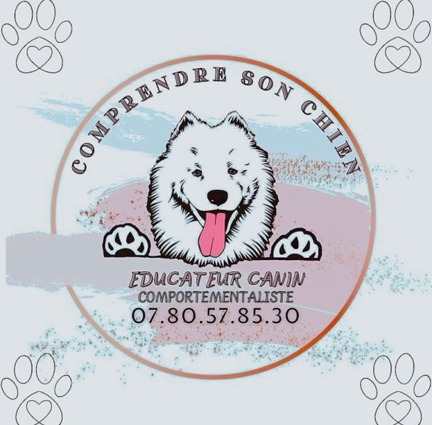 Comprendre Son Chien - Éducateur et Comportementaliste Canin -