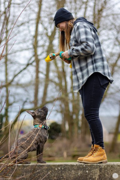 Cynoe Éducation Canine - photo 1