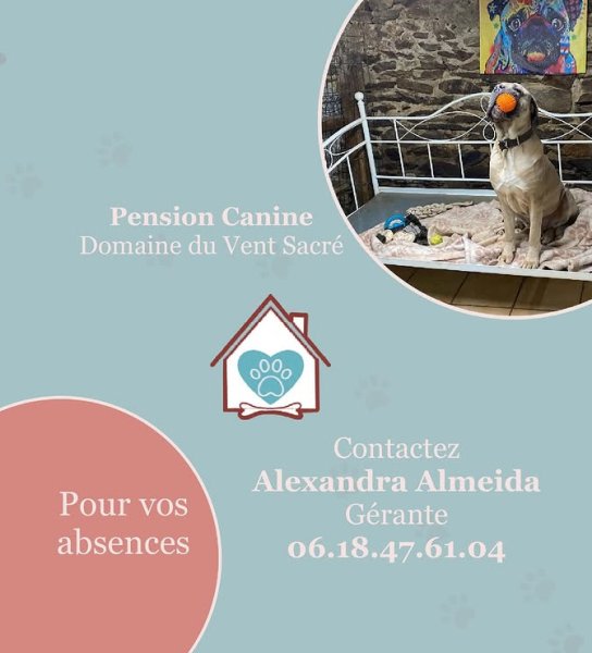 Cynoe Éducation Canine - photo 2