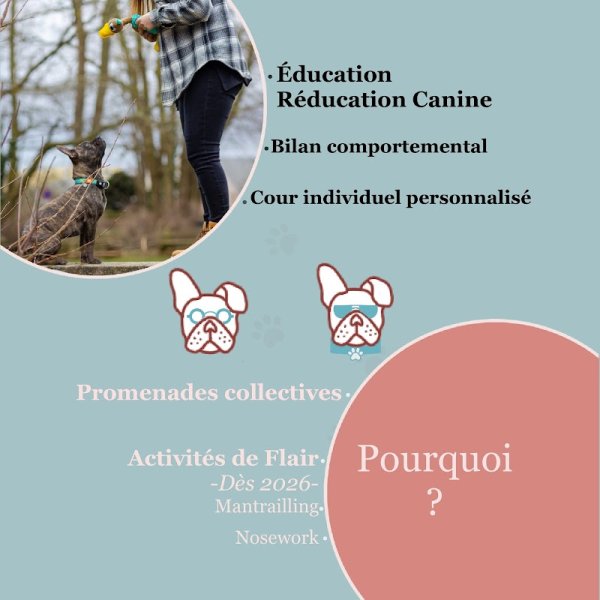 Cynoe Éducation Canine - photo 3