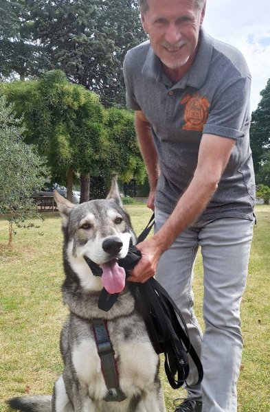 Educateur Comportementaliste Canin - Gilles MARAVELLE - photo 2