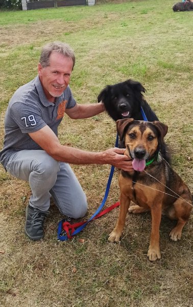 Educateur Comportementaliste Canin - Gilles MARAVELLE - photo 3