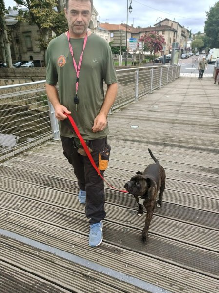 ô my dog - educateur comportementaliste canin - vanhuffel Florent lot 46