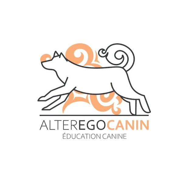 AlterEgo Canin - Éducatrice canin / dog sitting - photo 1