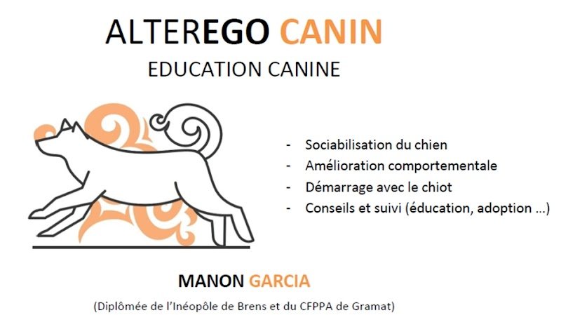 AlterEgo Canin - Éducatrice canin / dog sitting - photo 2