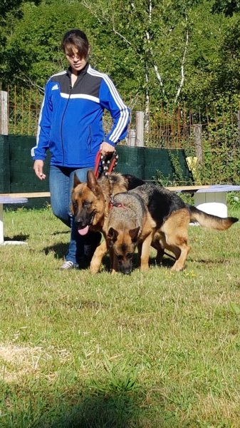 LOOK et cie Comportementaliste et Educatrice canine - photo 2