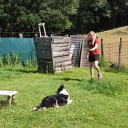 LOOK et cie Comportementaliste et Educatrice canine - photo 3