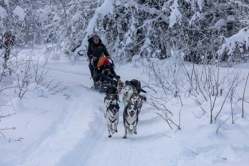 La grange des huskies / base éco-canine - photo 1