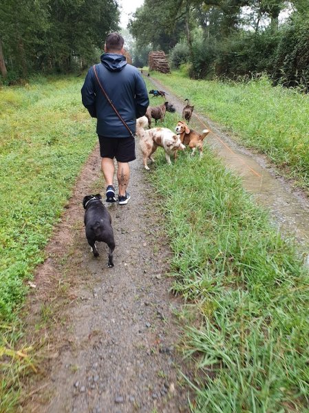 G Educ mon chien | Educateur canin & Pet Sitting Dax - photo 2