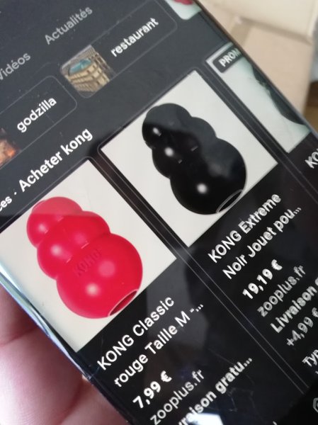 Club Cynophile Landais